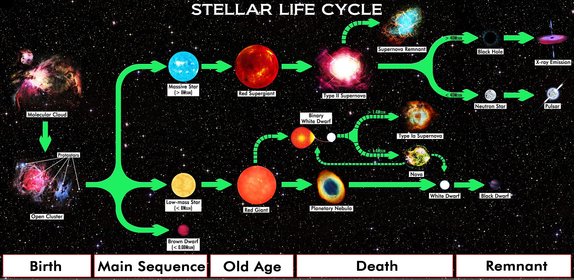 Red supergiant stellar evolution