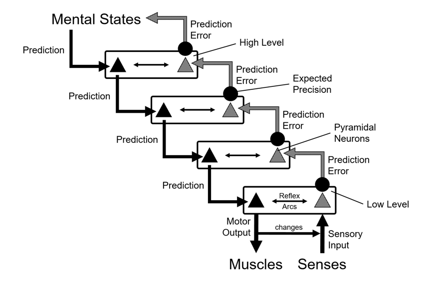 predictive processing brain model