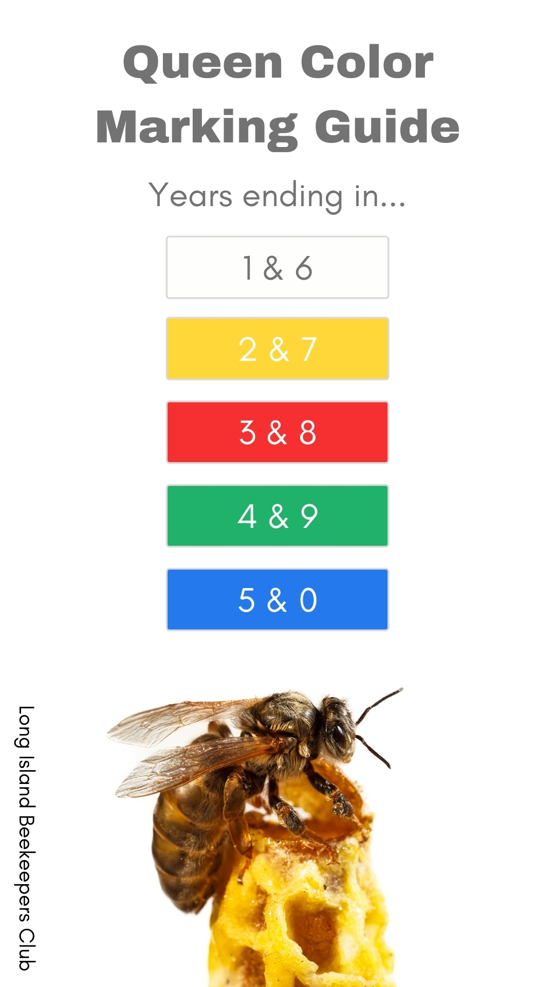 international queen bee color code
