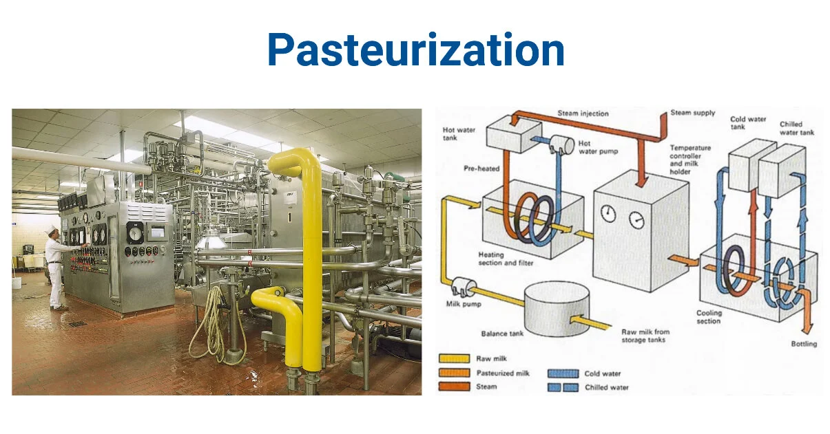 pasteurization milk processing plant