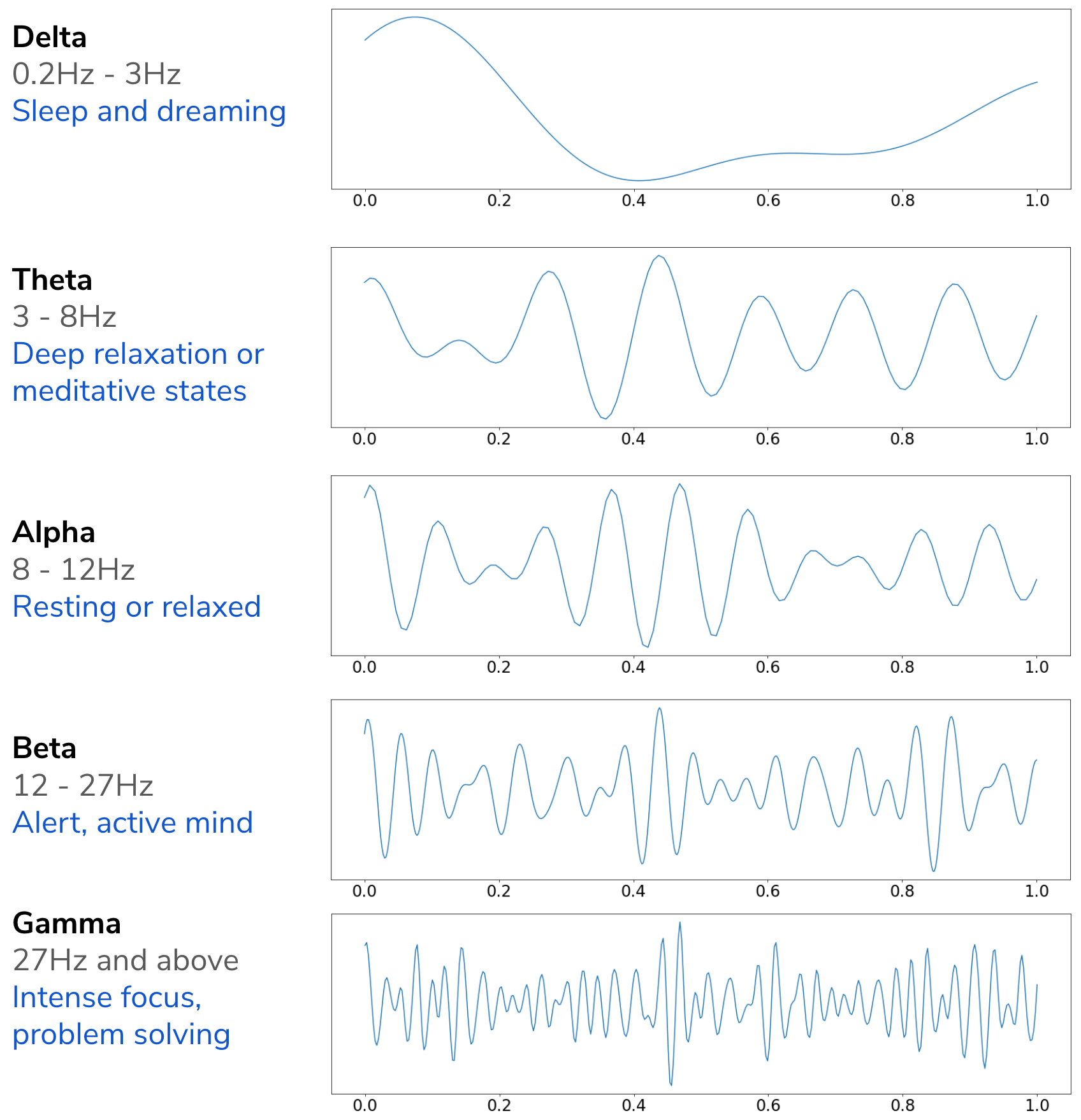 neural oscillations theta gamma