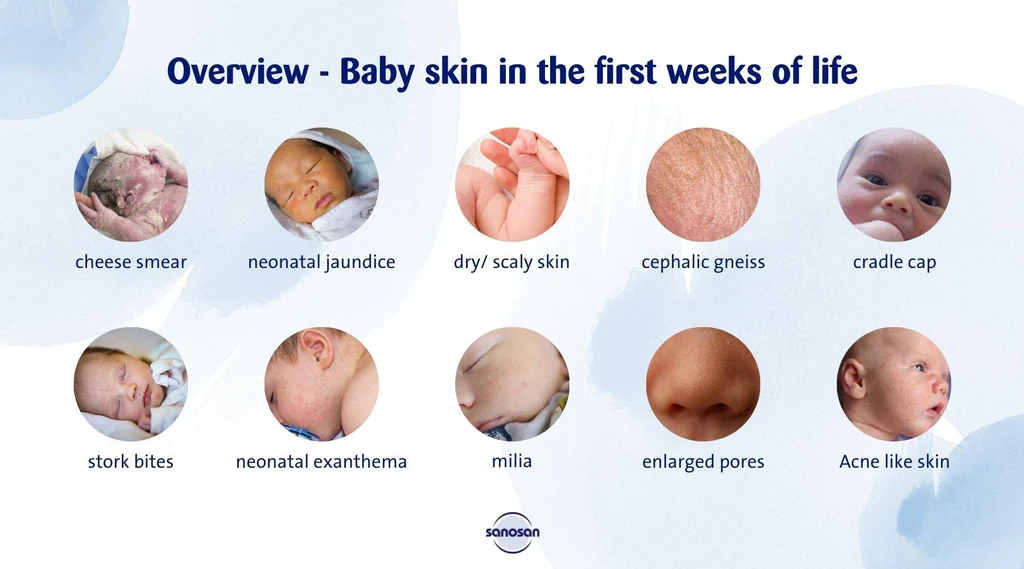 toddler noticing skin color