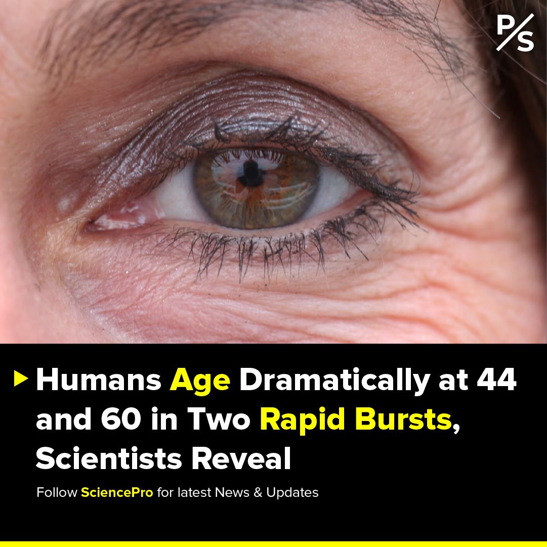 Humans Age in Bursts: Stanford Finds Shifts at 44 and 60