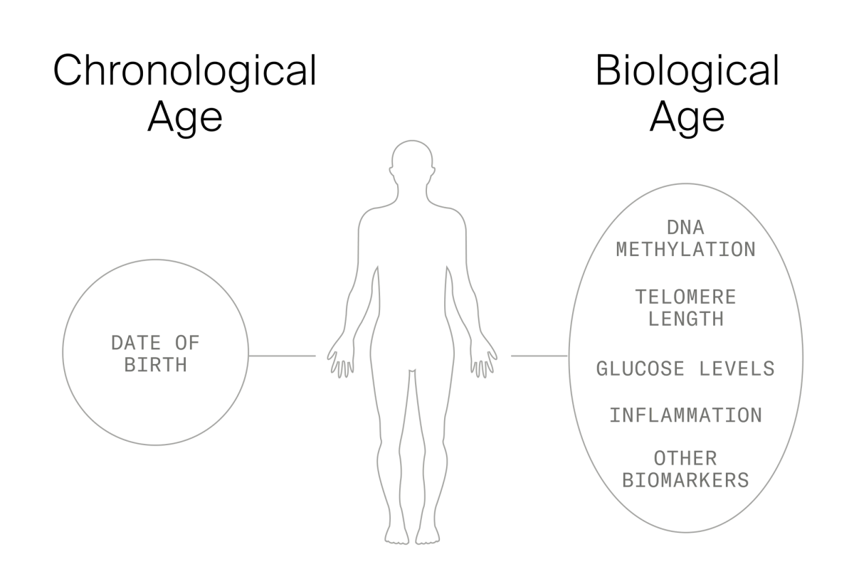 biological age vs chronological age