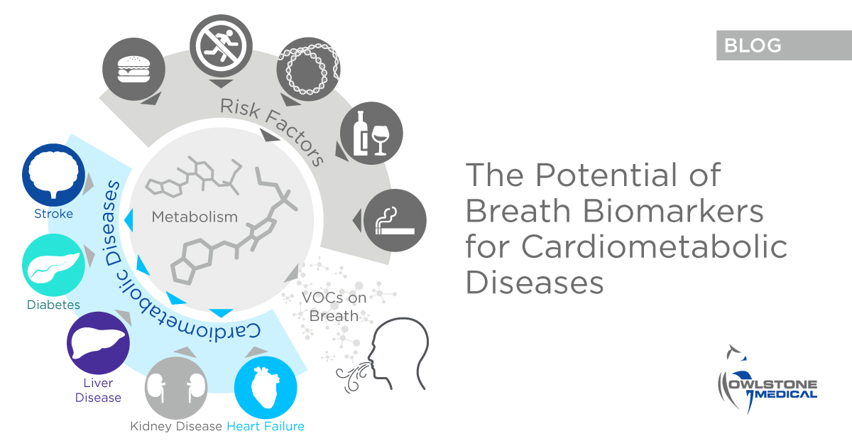 cardiometabolic biomarkers midlife changes