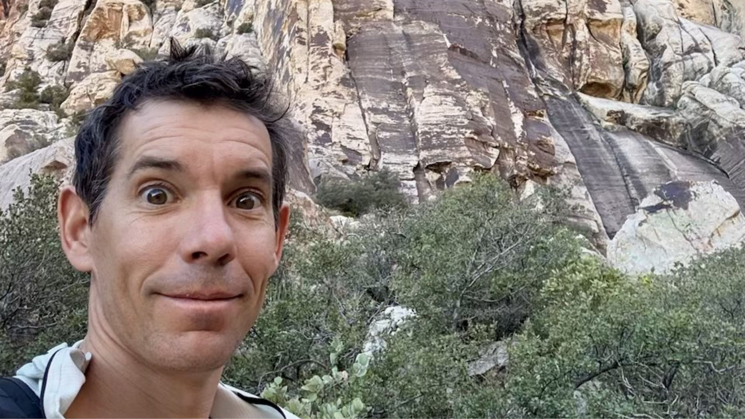 Alex Honnold free solo