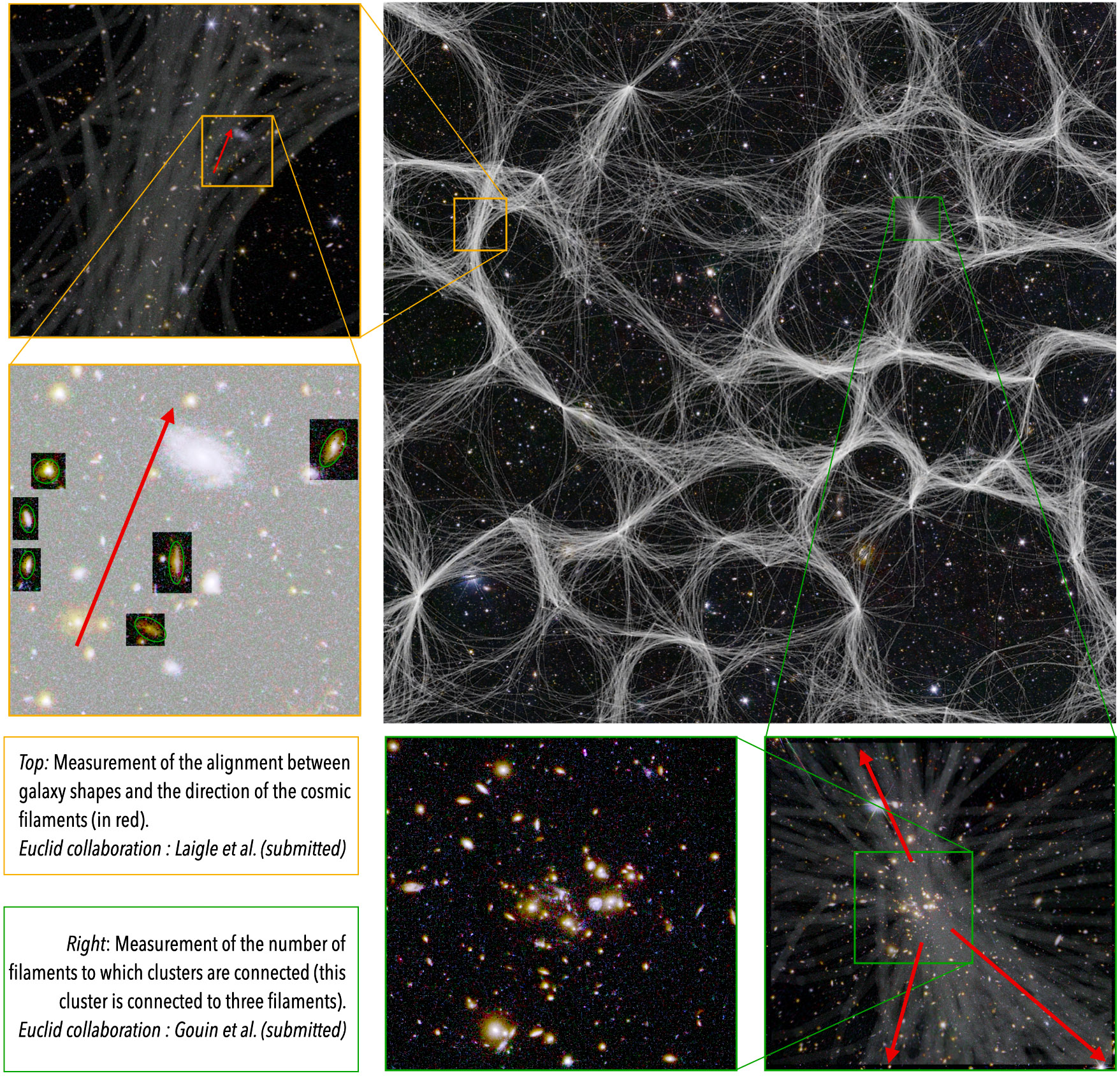 cosmic web galaxy filament