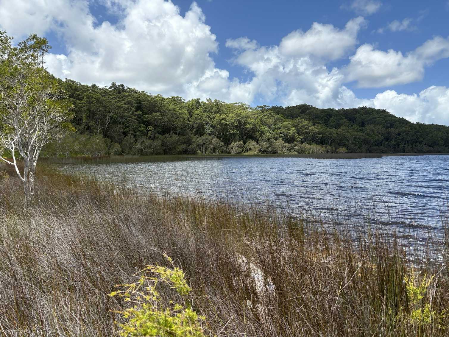 K'gari perched lake sediment cores