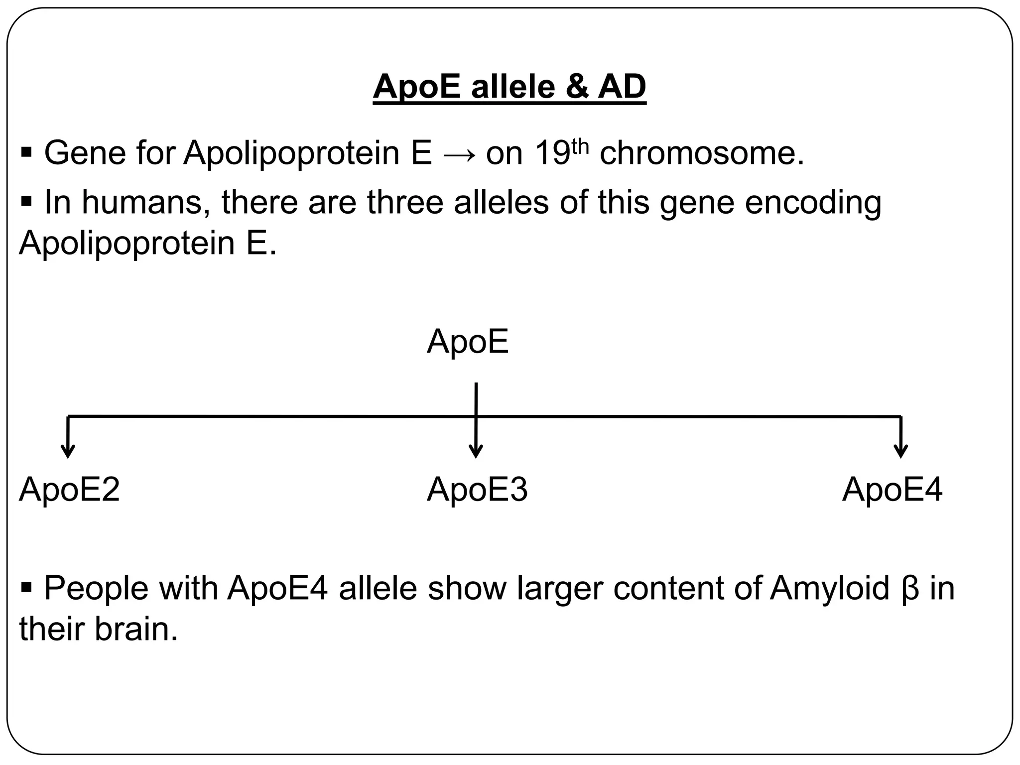 APOE gene alleles