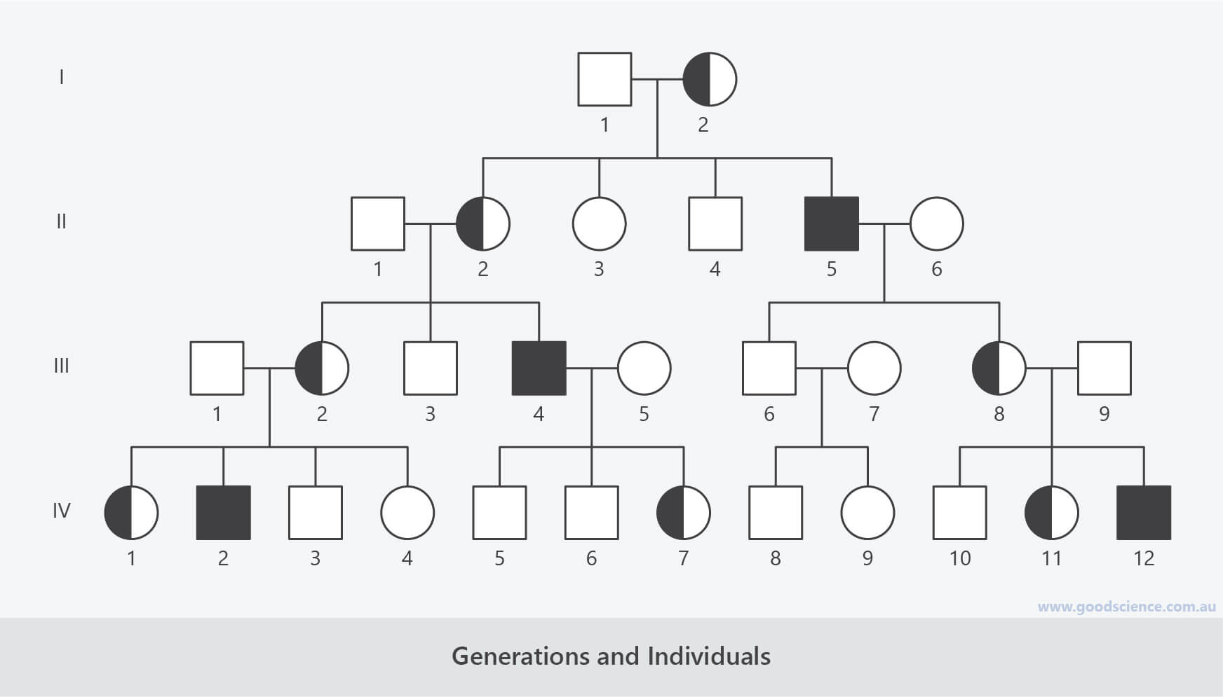 pedigree analysis chart