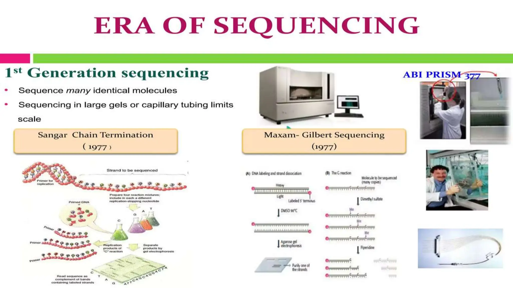 whole genome sequencing