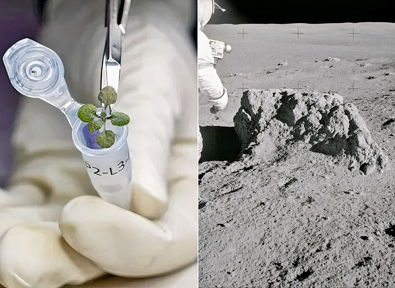 lunar regolith soil moon