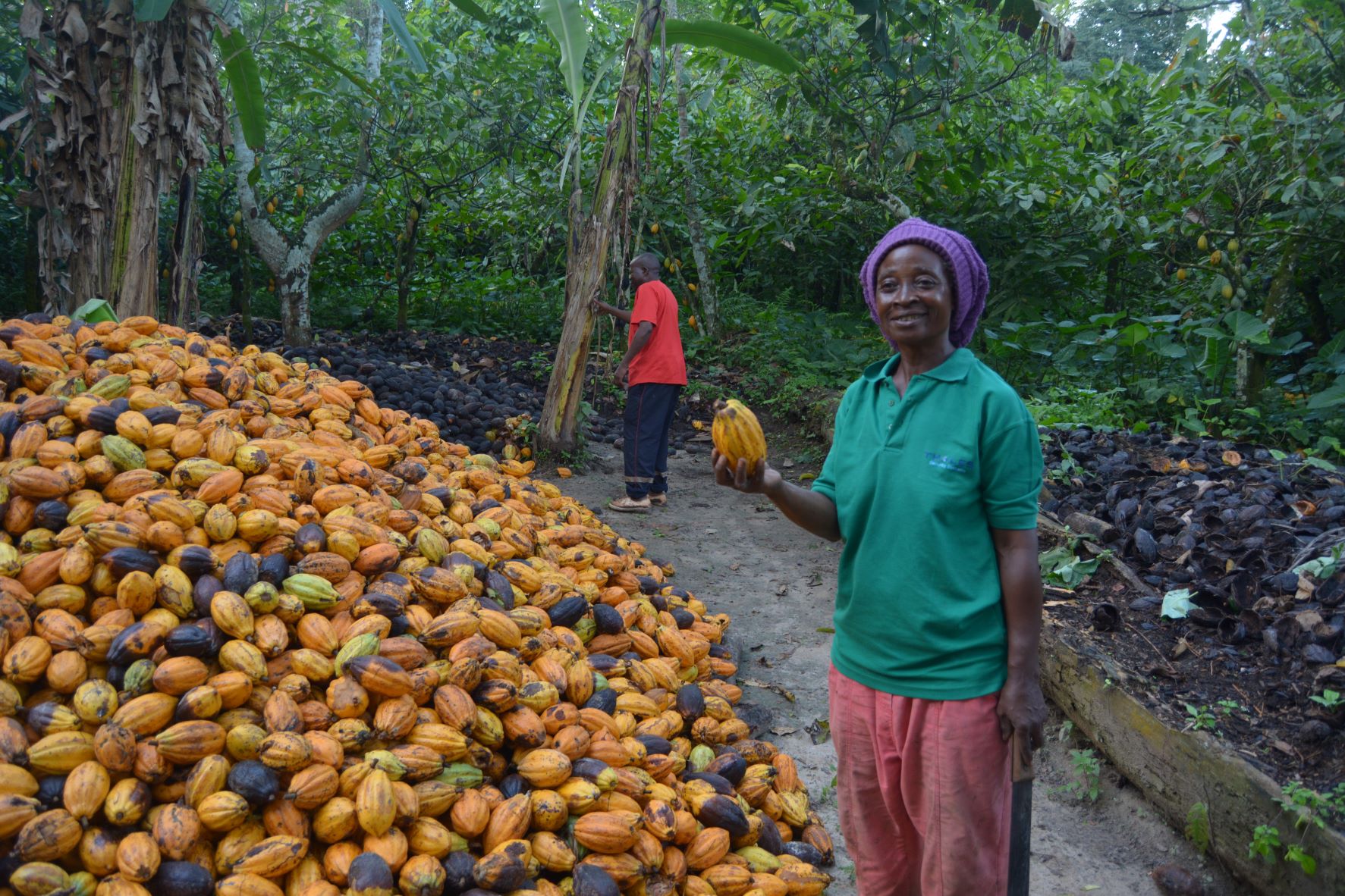 cocoa farmers