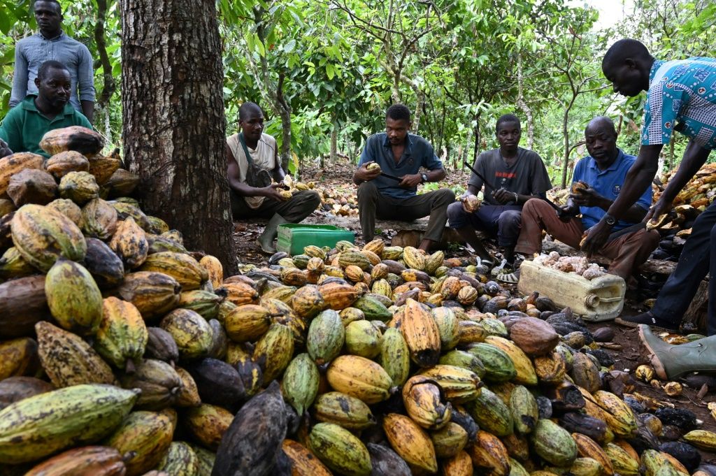 Ivory Coast cocoa