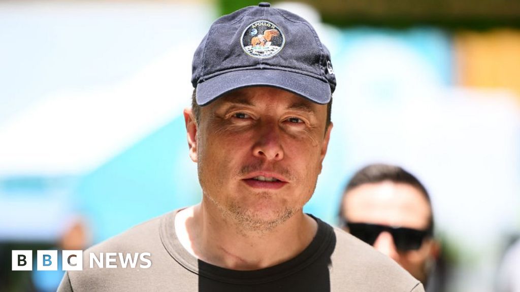 Elon Musk Jeffrey Epstein emails