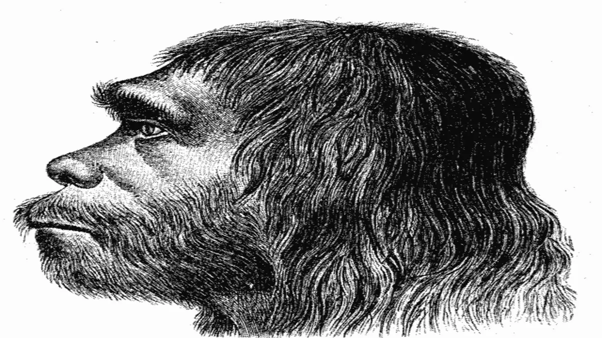 Y chromosome Neanderthal