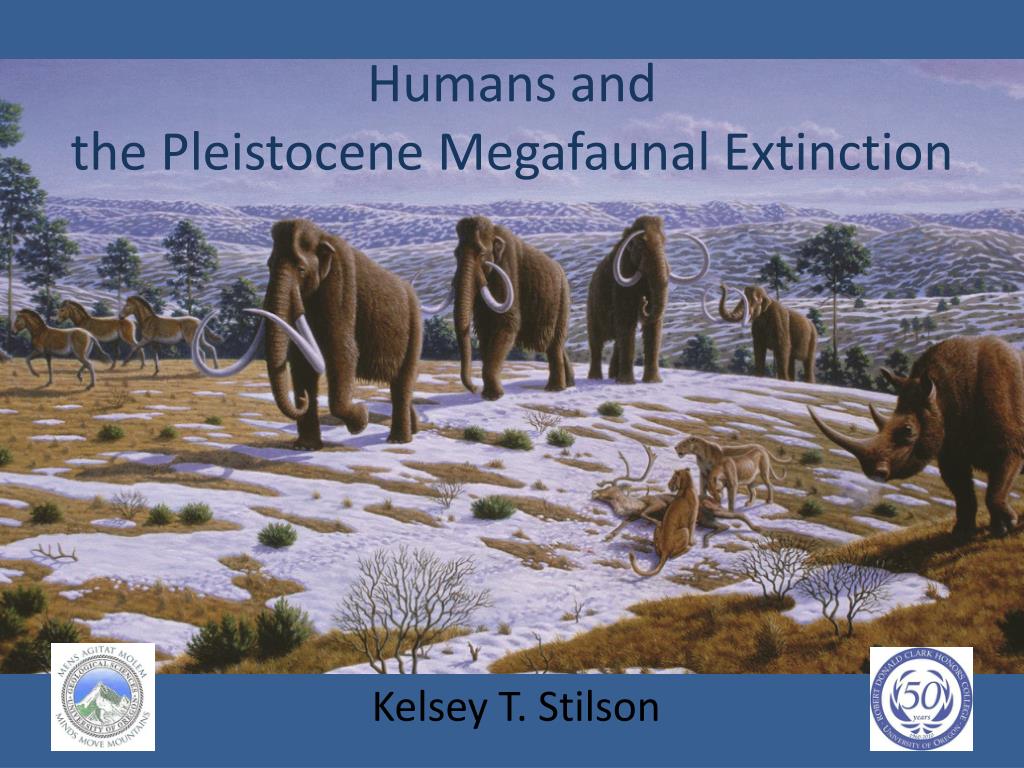 Pleistocene human encounters