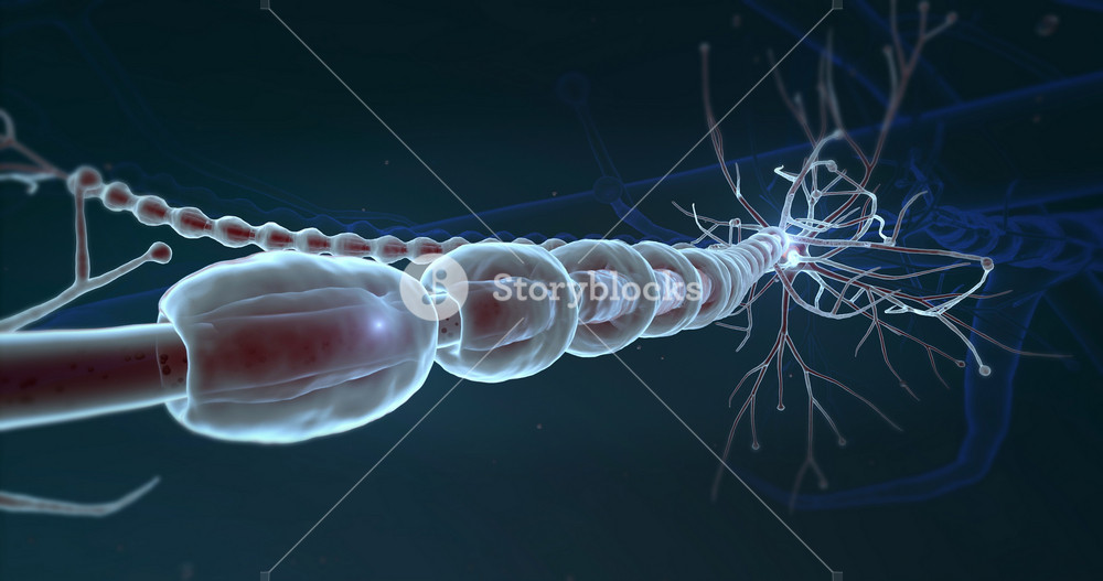 neurons DNA breaks microscope