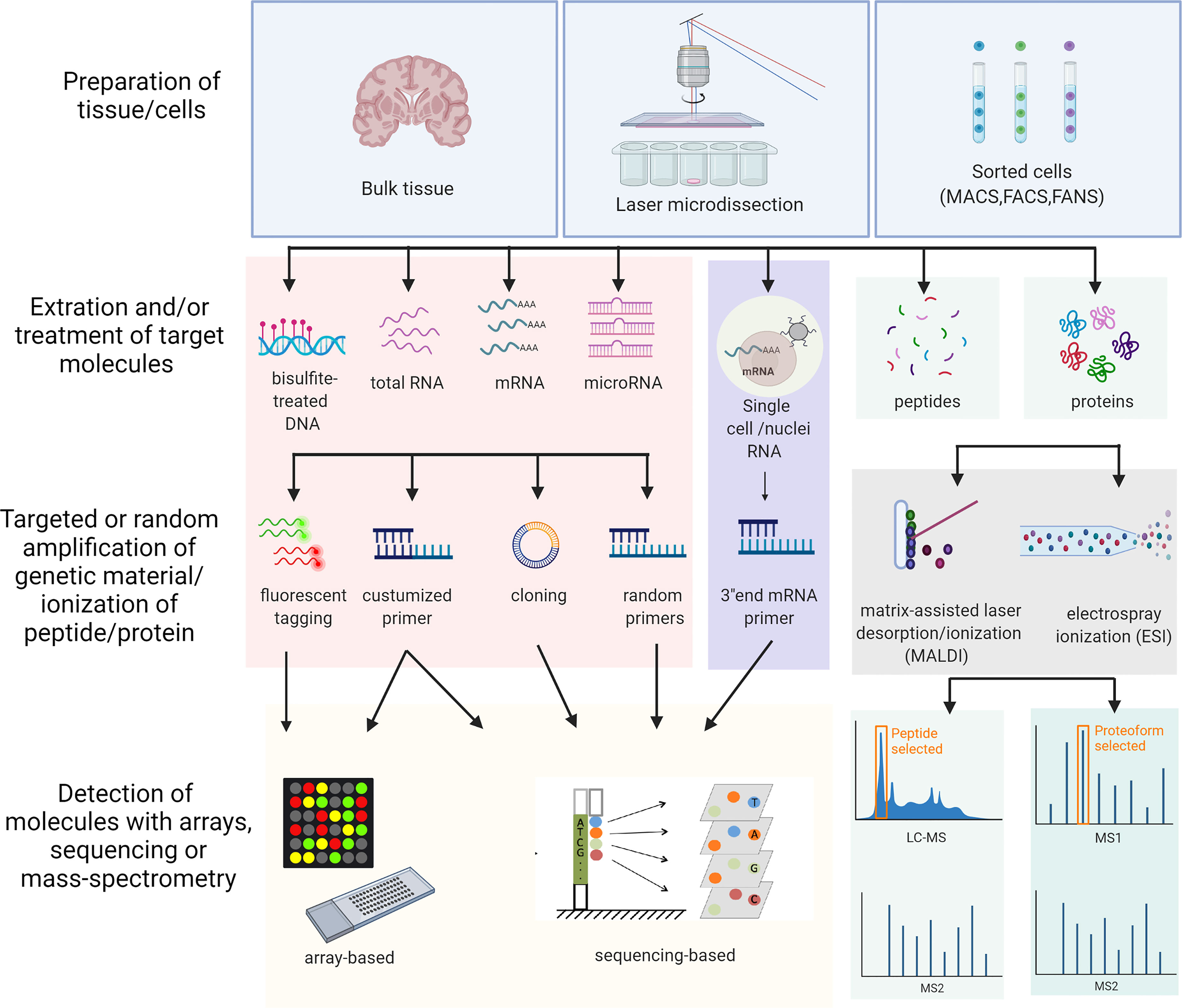 proteomics brain tissue analysis