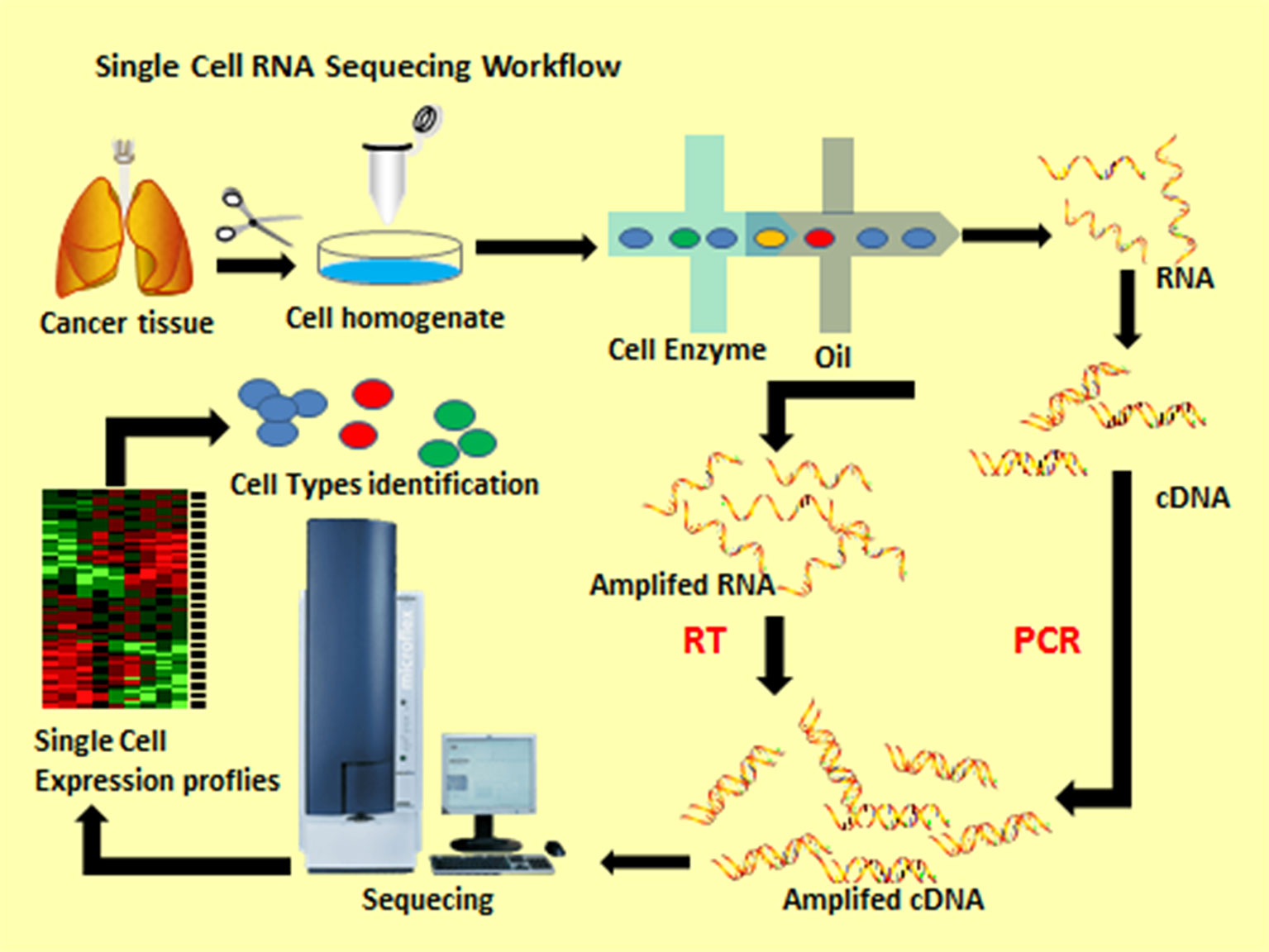 single-cell RNA sequencing technology