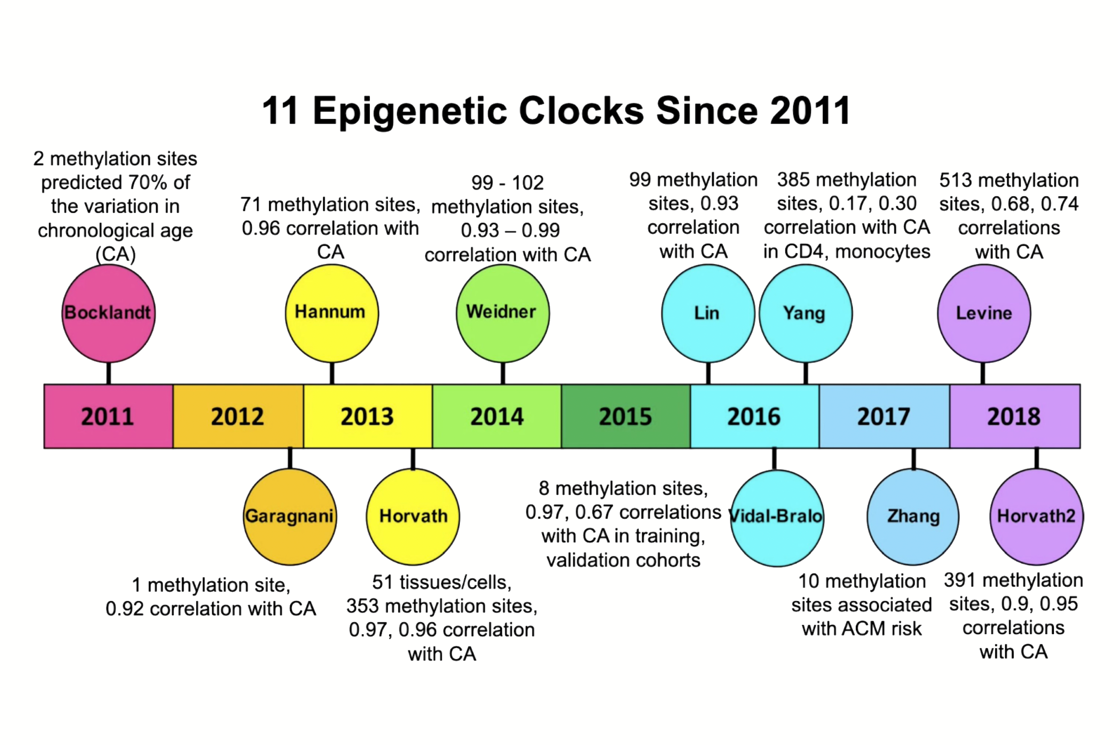 epigenetic clock biomarkers aging