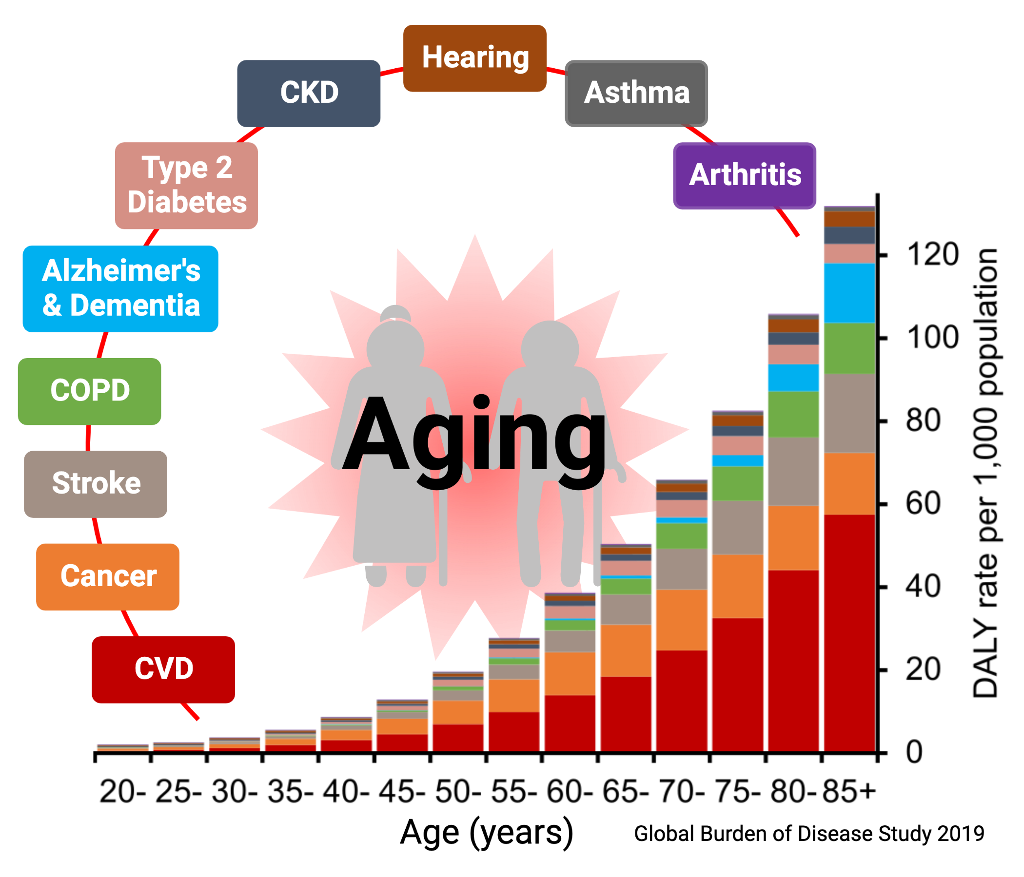 age-related disease prevention