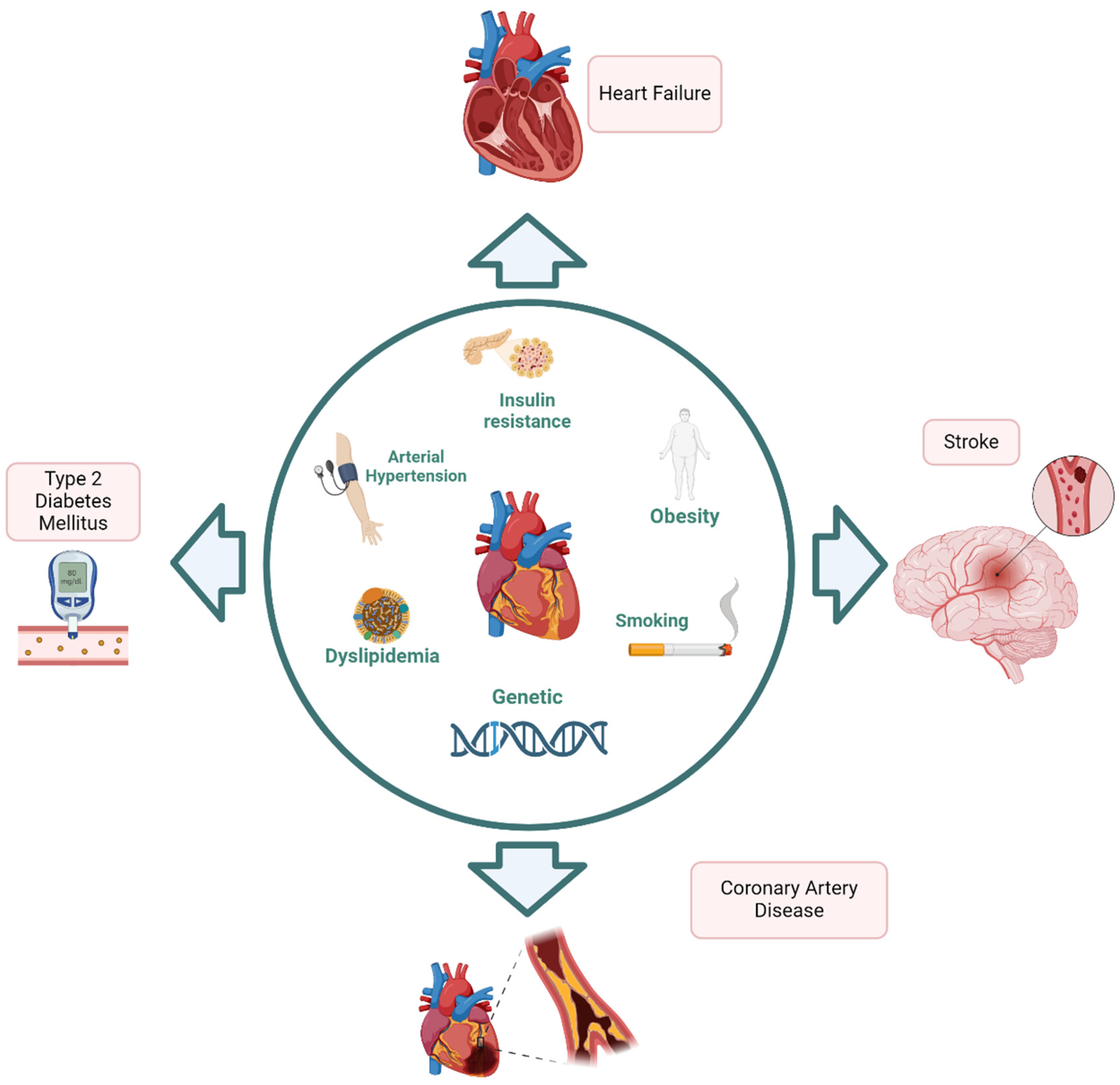cardiovascular metabolic health