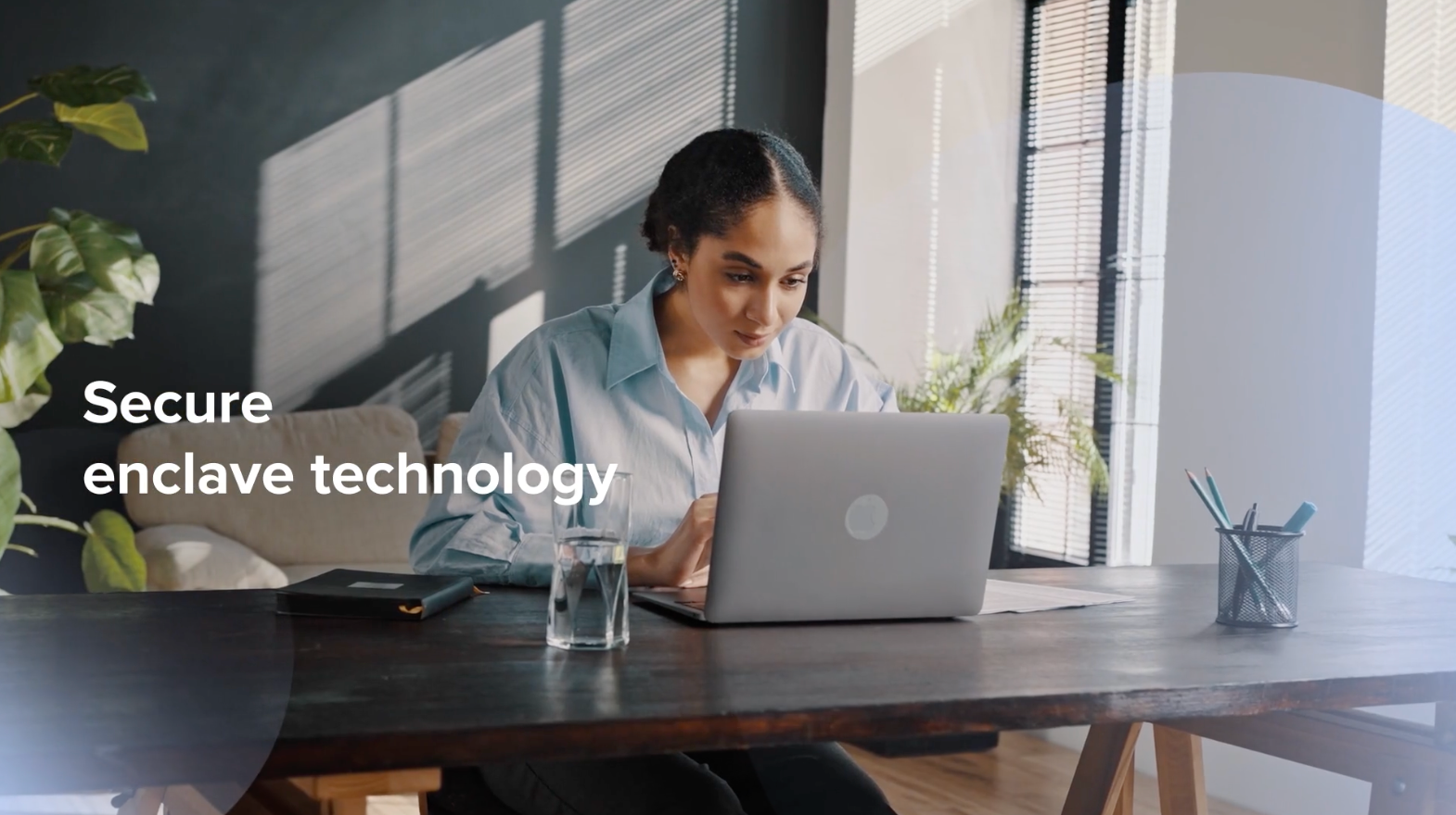 Device biometric secure enclave technology