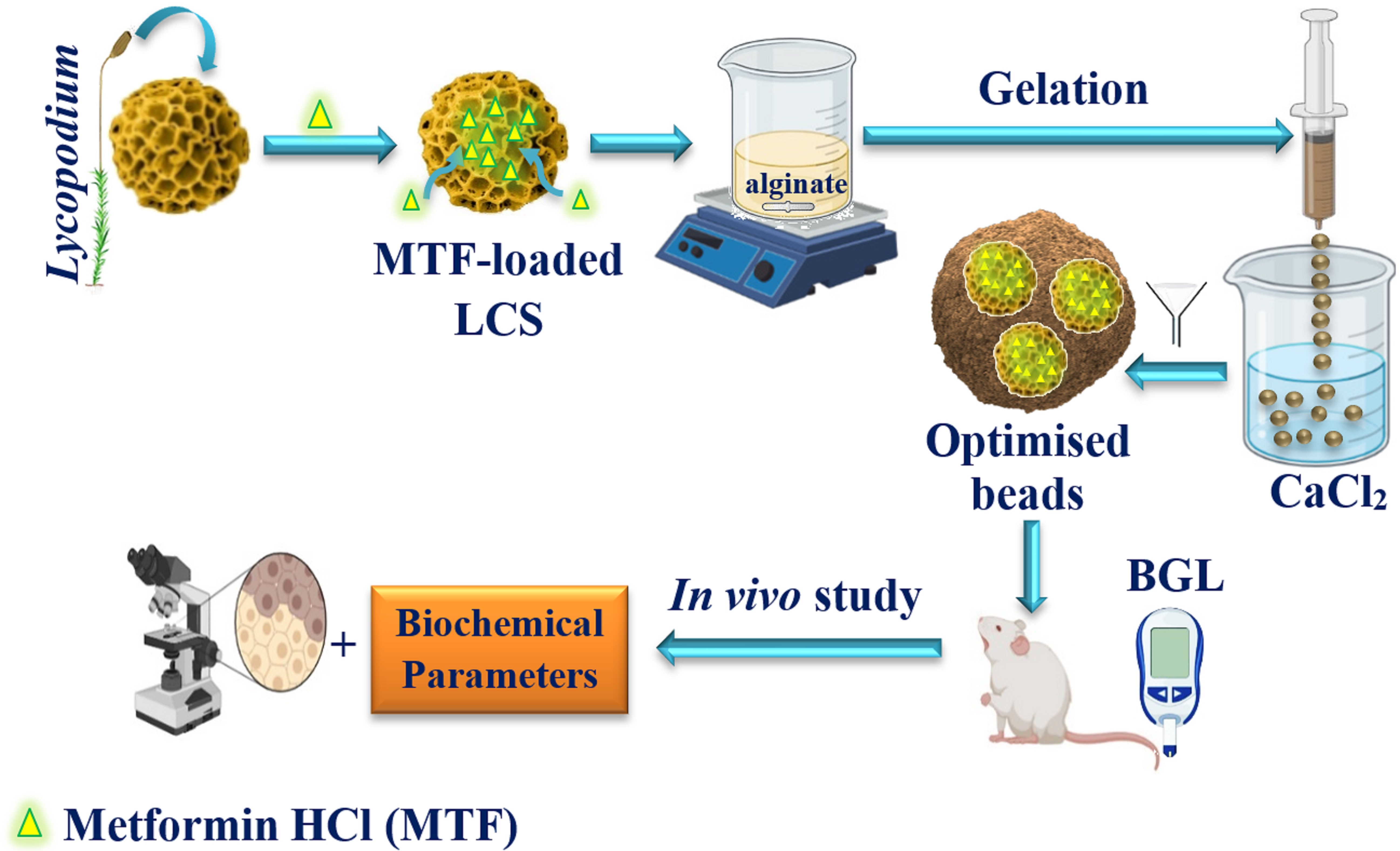 pollen microcapsules drug delivery