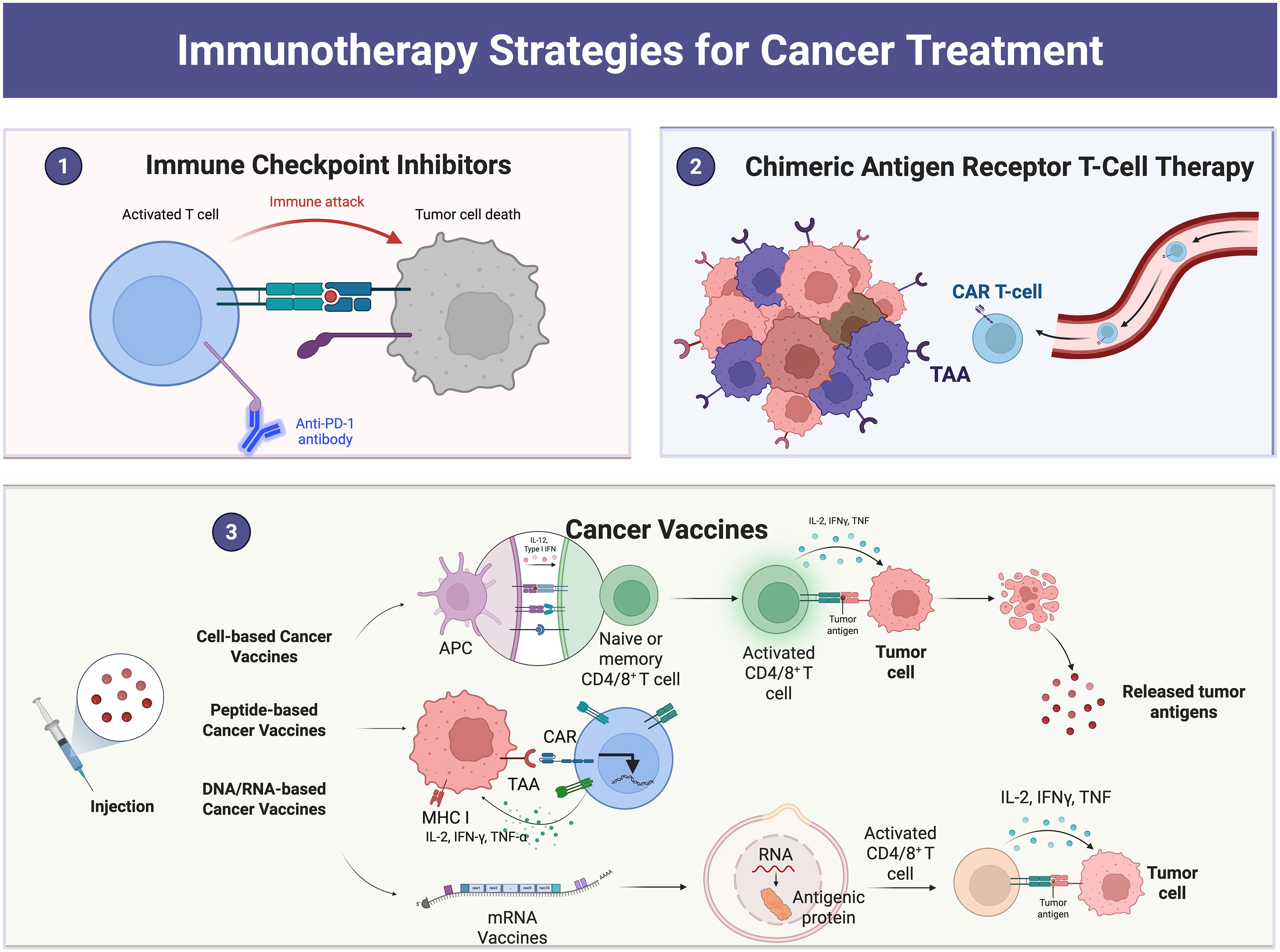 cancer immunotherapy vaccines