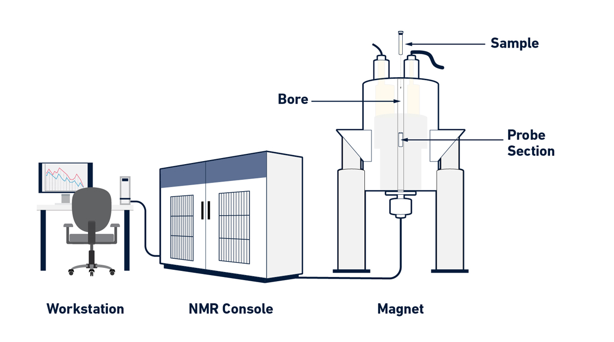 solid-state NMR spectroscopy
