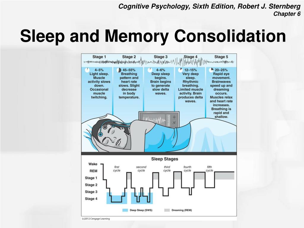 sleep habit consolidation memory