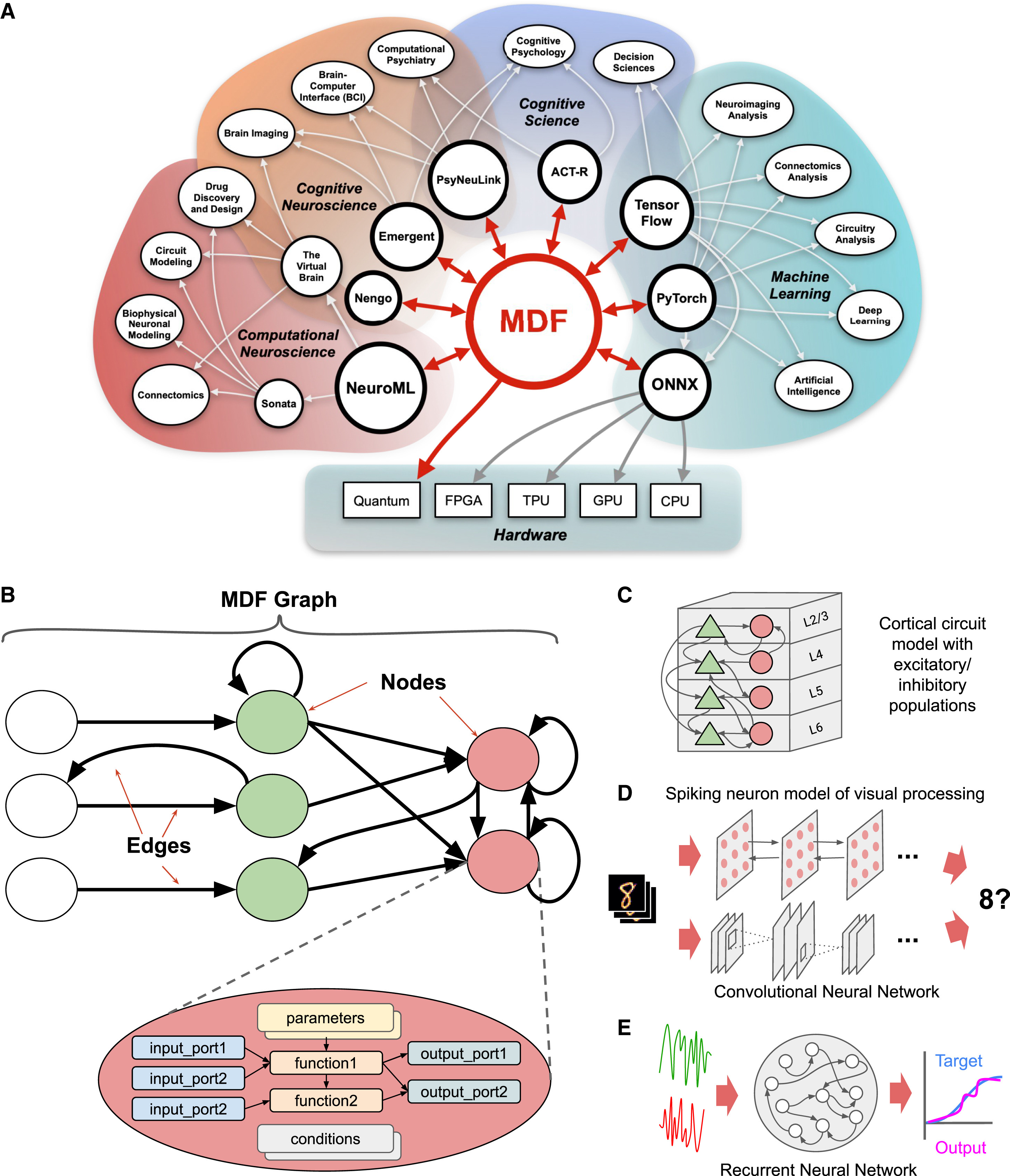 computational neuroscience brain network model