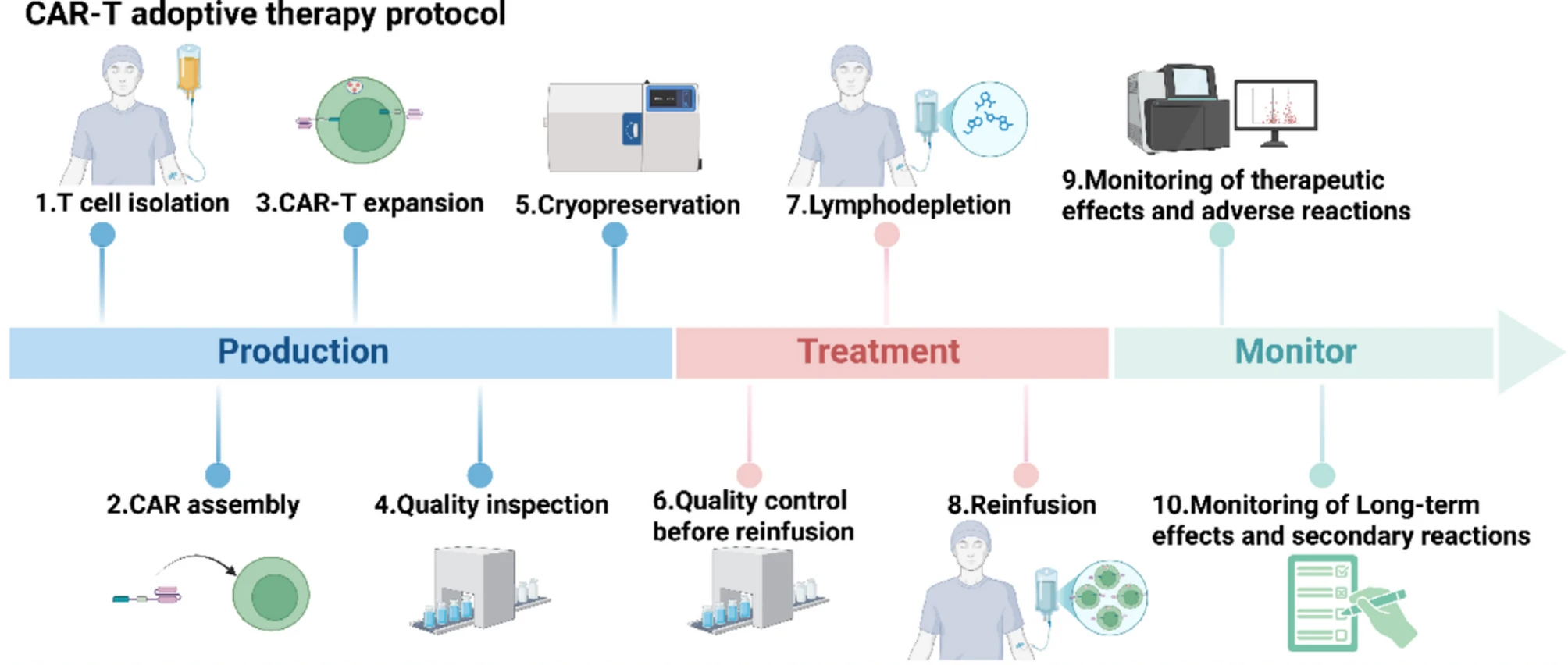 ex vivo cell therapy process