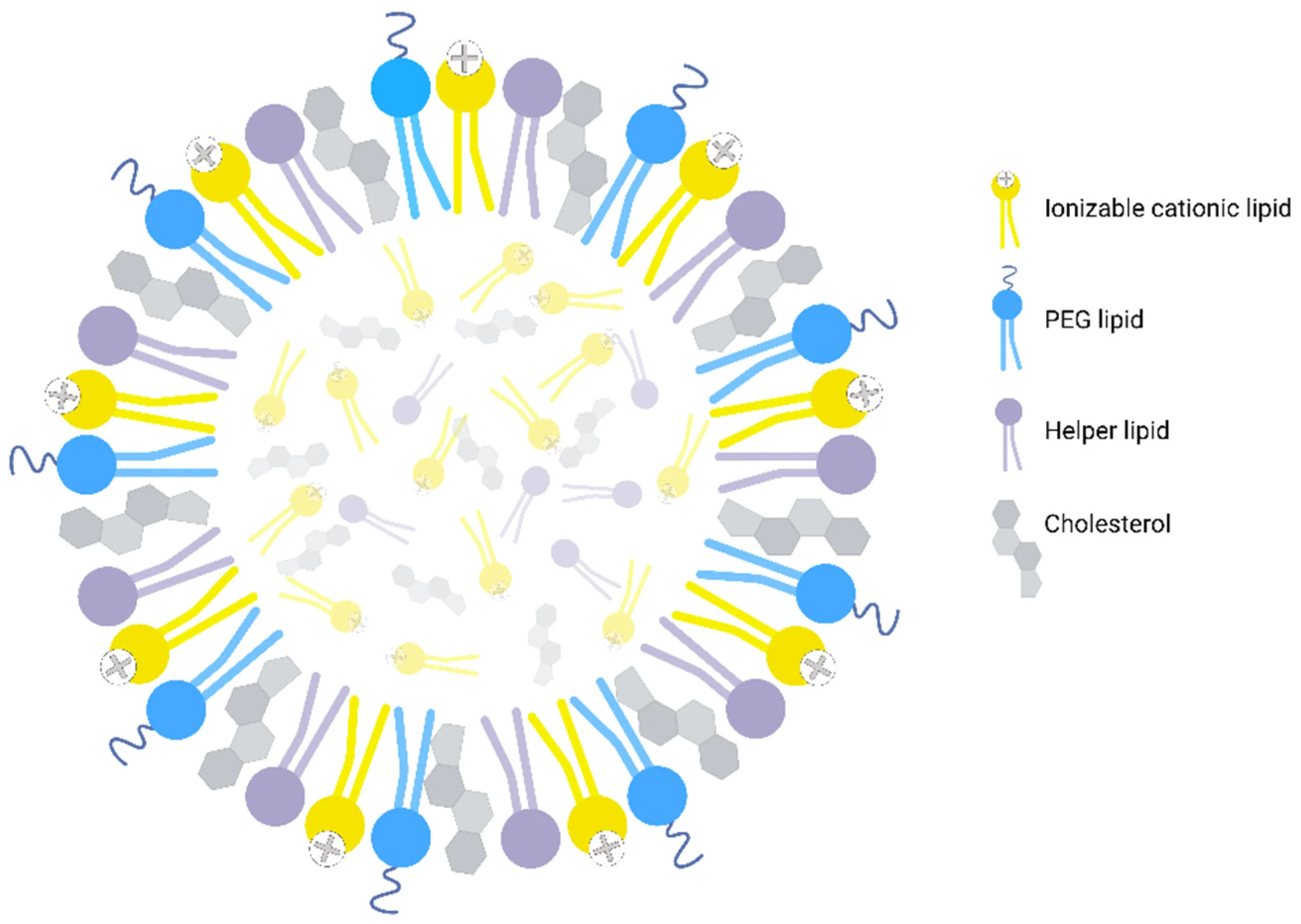 lipid nanoparticles gene delivery