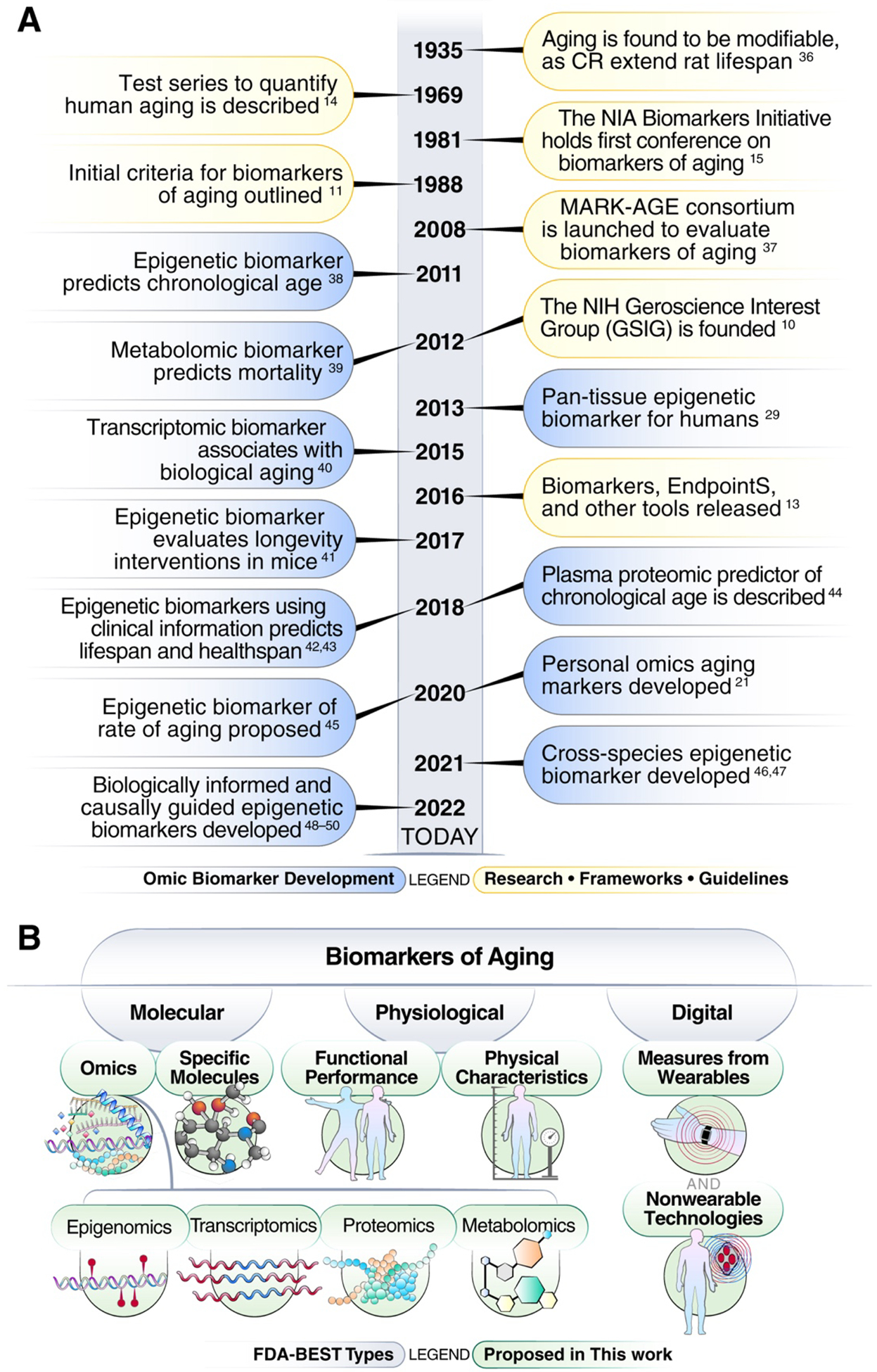 aging biomarkers laboratory