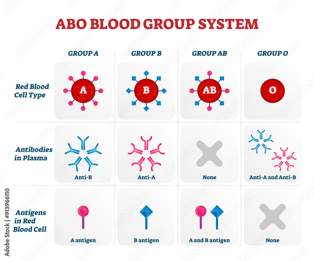 Red blood cells with surface antigens