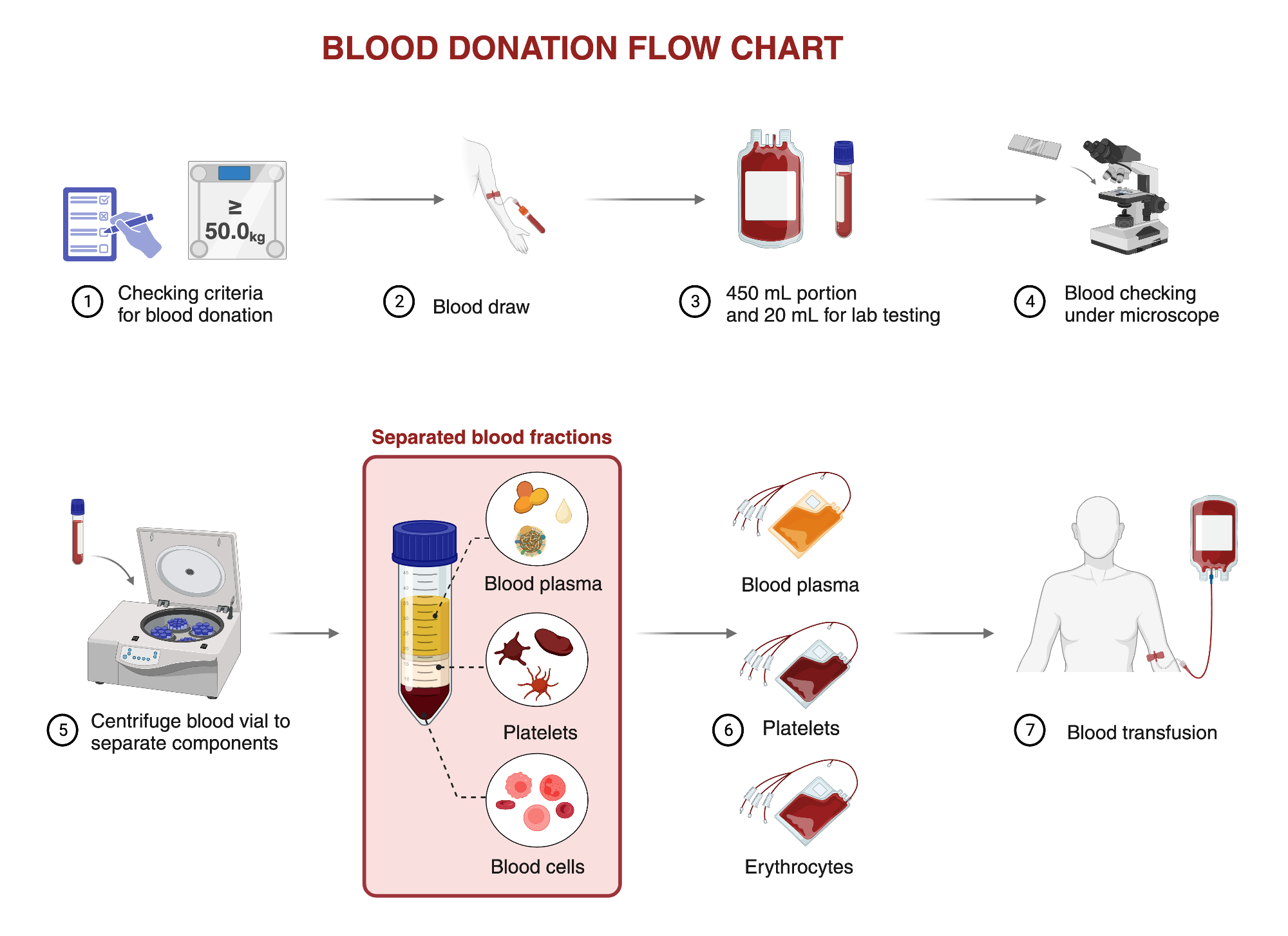 Blood donor screening process