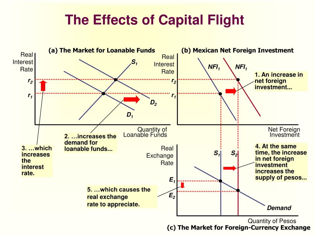capital flight market stress