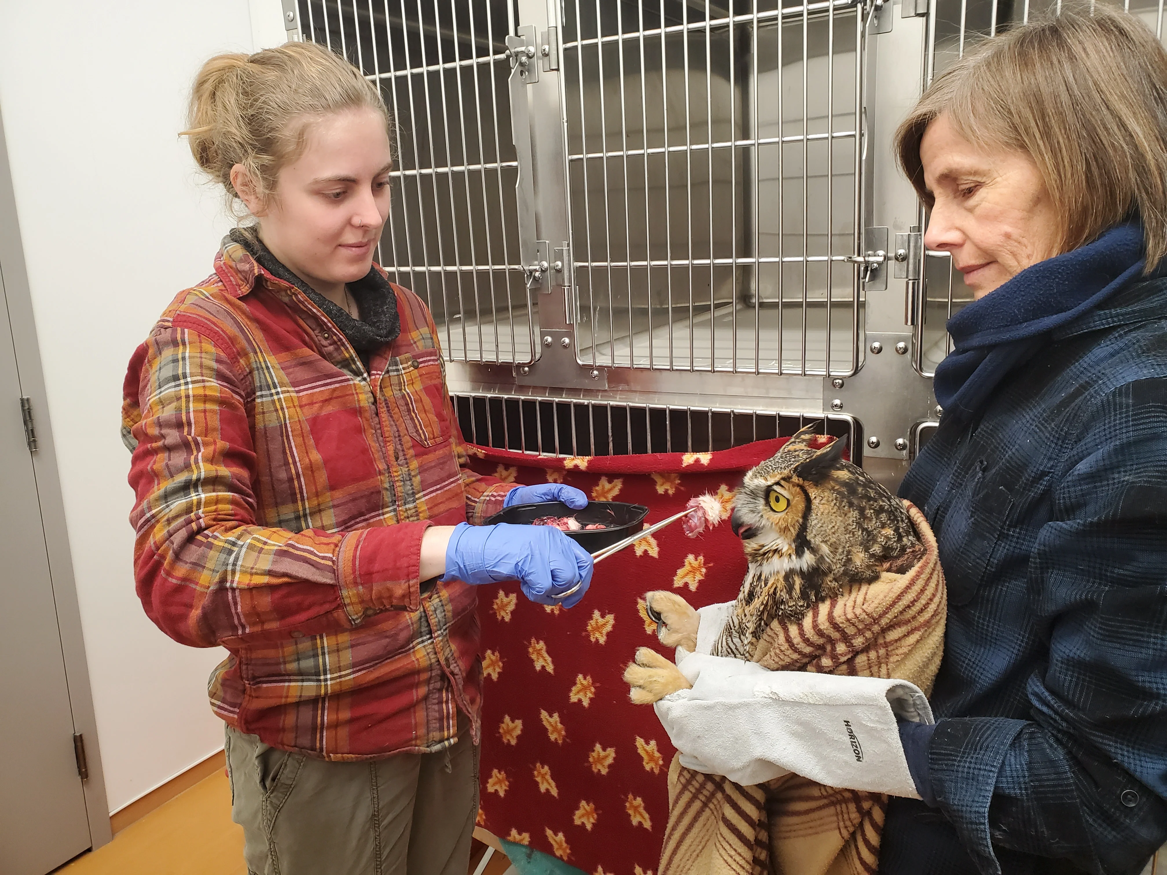 wildlife rehab volunteer support