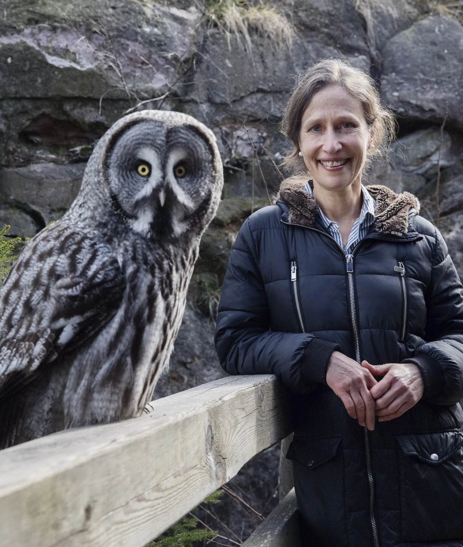 Sofia owl trust human contact