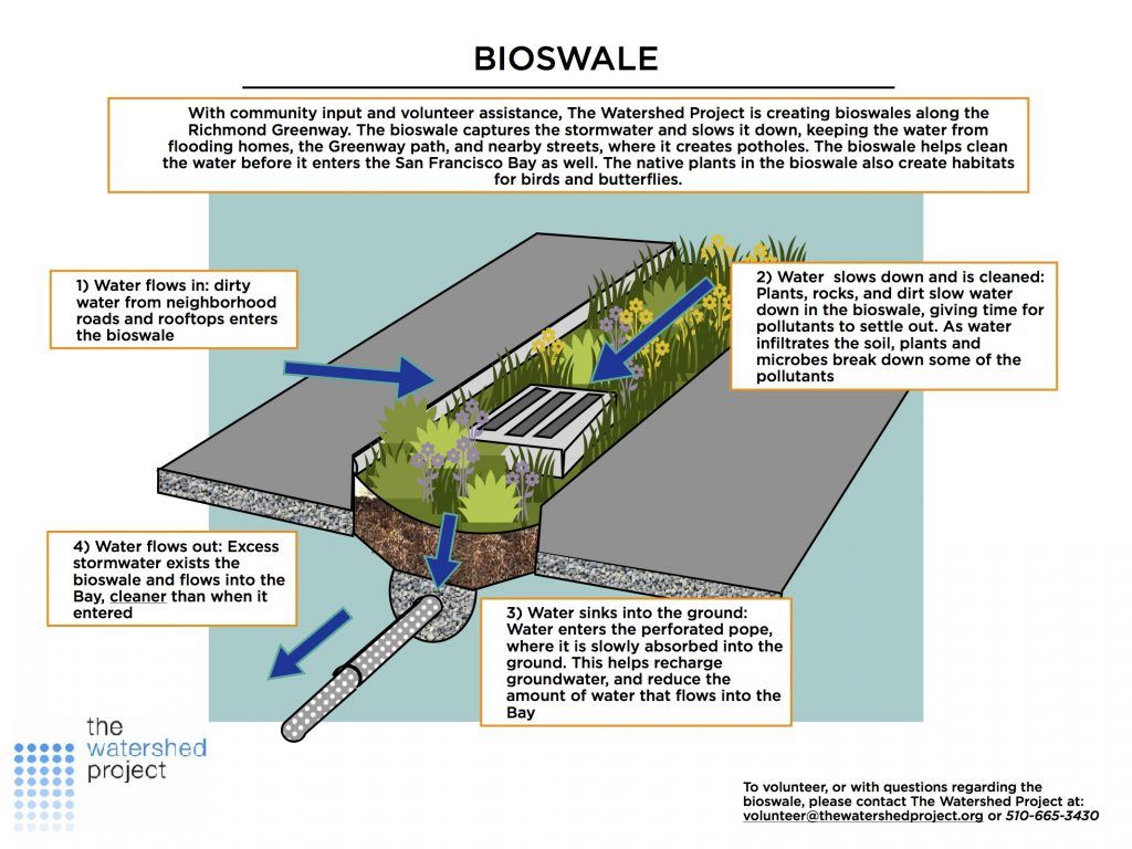 Green infrastructure bioswales stormwater management