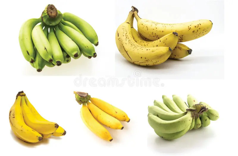 Green yellow spotted bananas