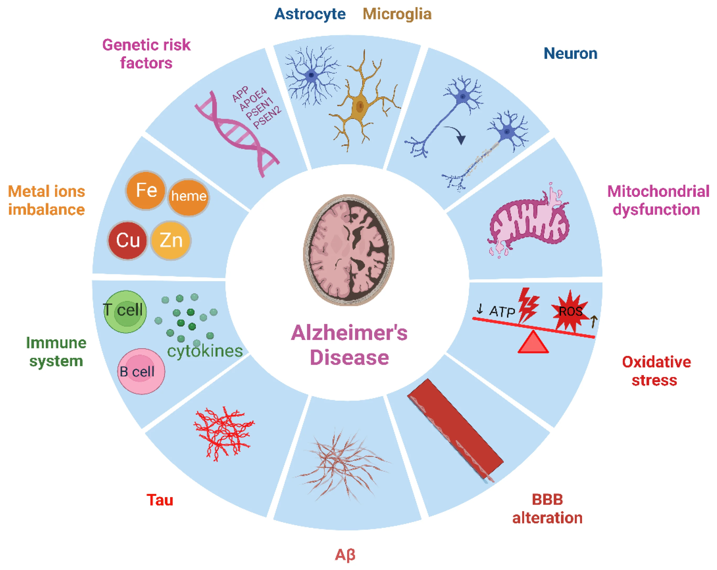 Surprising Molecular Link Between Cancer and Alzheimer’s