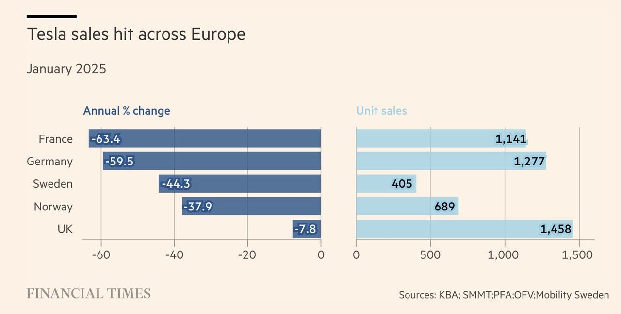 Germany Tesla sales fall