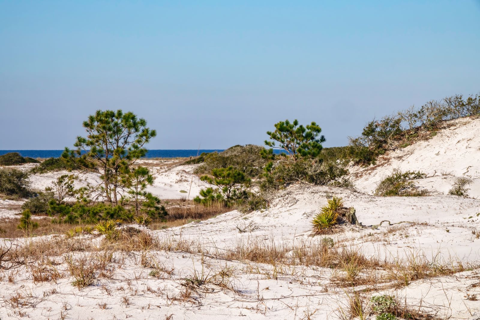 The Impact of Coastal Dunes: Shaping Our Beach Memories