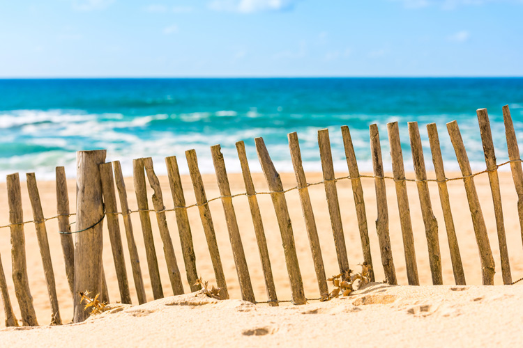 dunes protect against storms