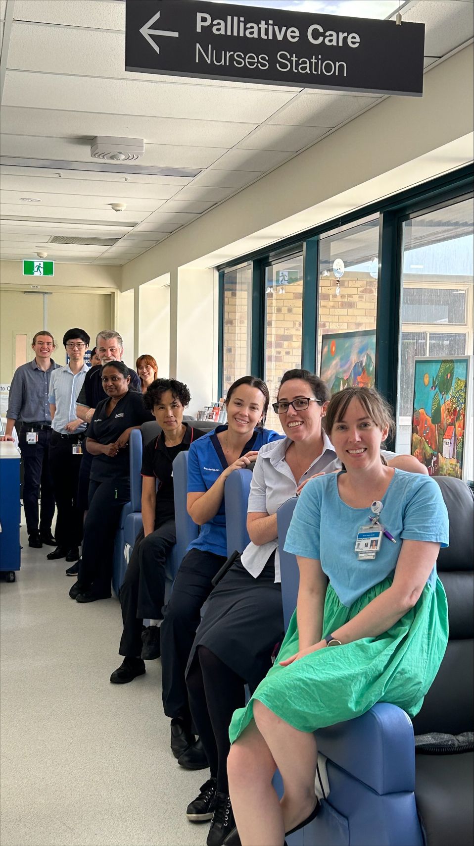 hospital palliative care team