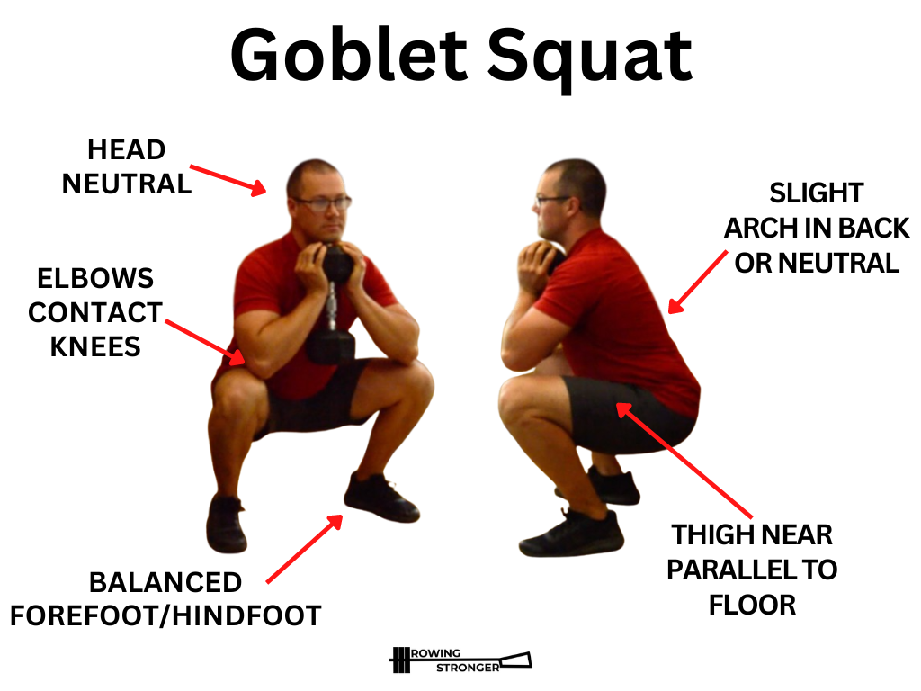 goblet squat for seniors