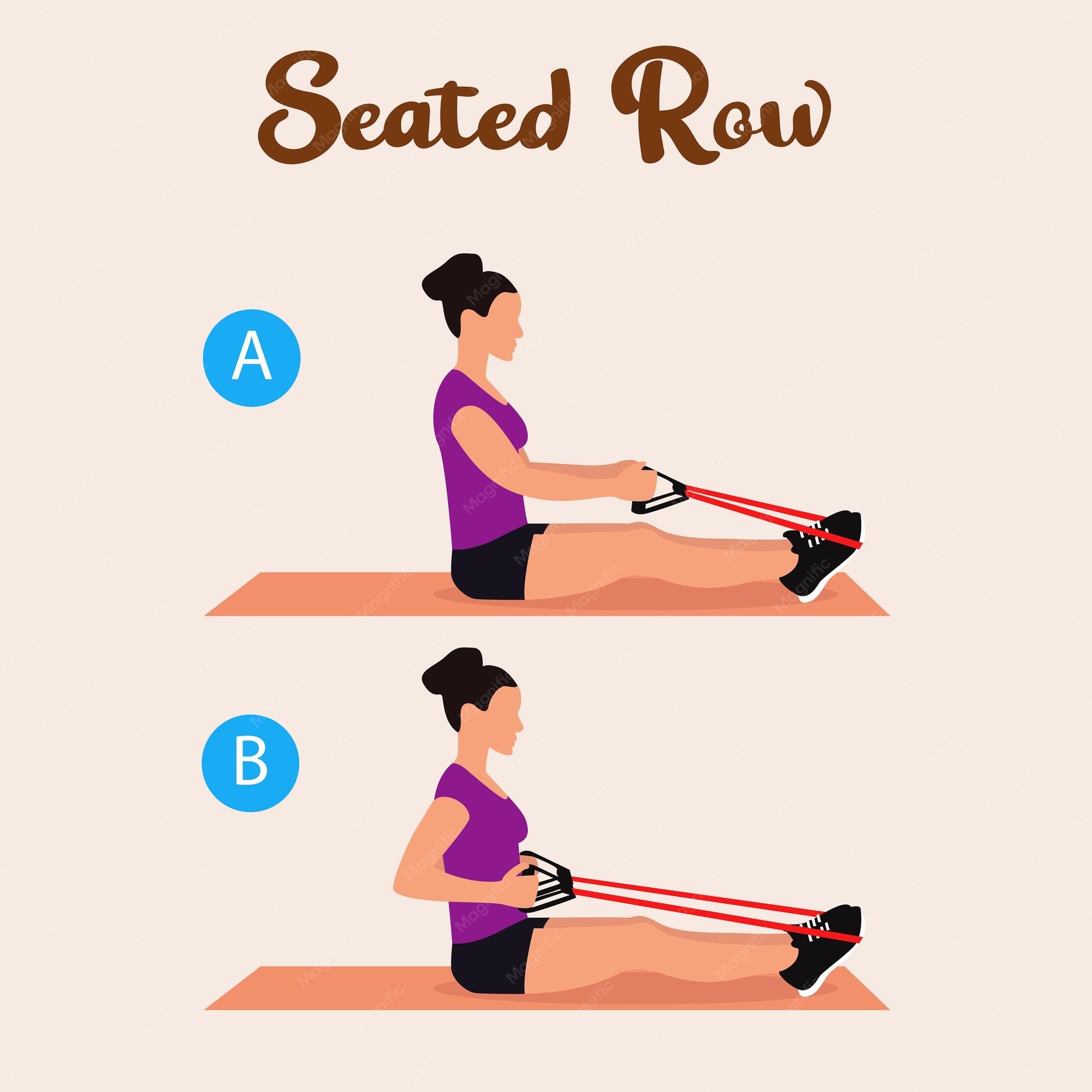 seated row resistance band